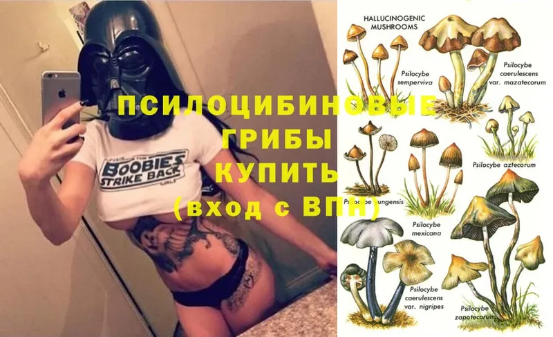 Псилоцибиновые грибы GOLDEN TEACHER Краснокамск