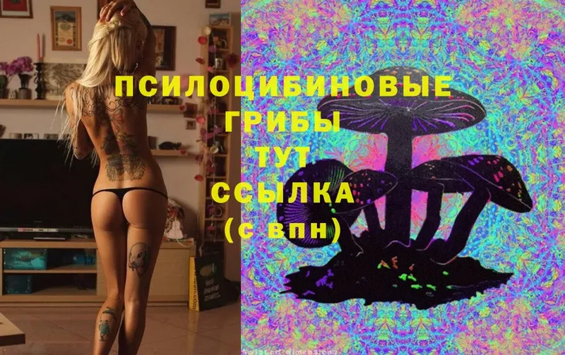 Галлюциногенные грибы Magic Shrooms  Краснокамск 